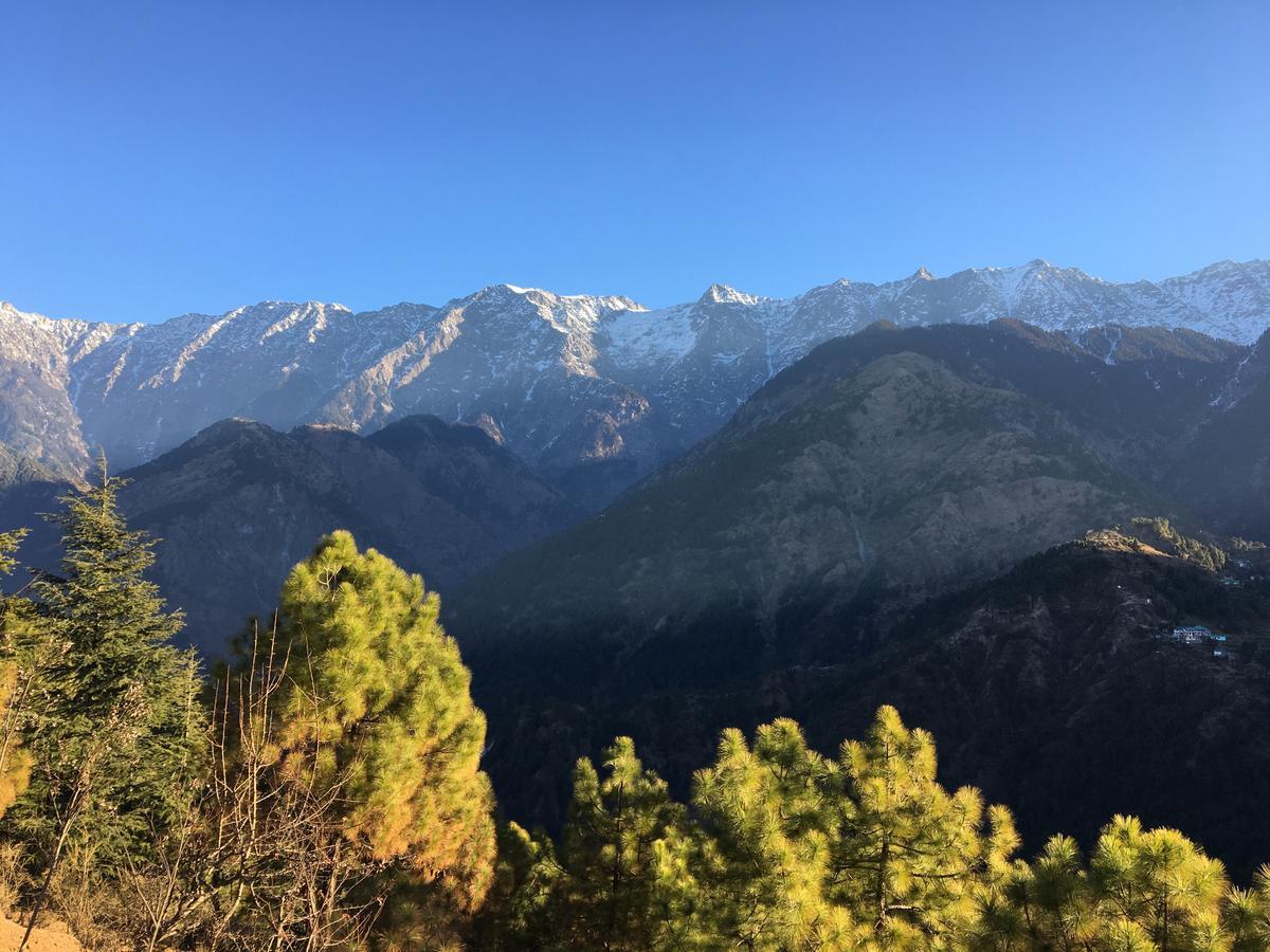 Ess & Bee Resorts Dharamshala Exterior foto